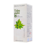 Tinctura talpa gastei 50 ml