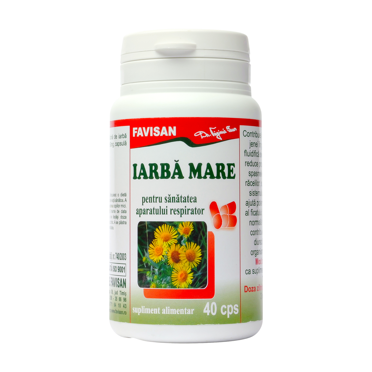 Iarba mare 40 capsule