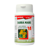 Iarba mare 40 capsule