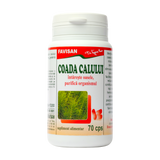 Coada Calului 70 capsule