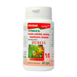 Nutrisan R1 - coada calului, urzica, sunatoare, troscot 40 capsule