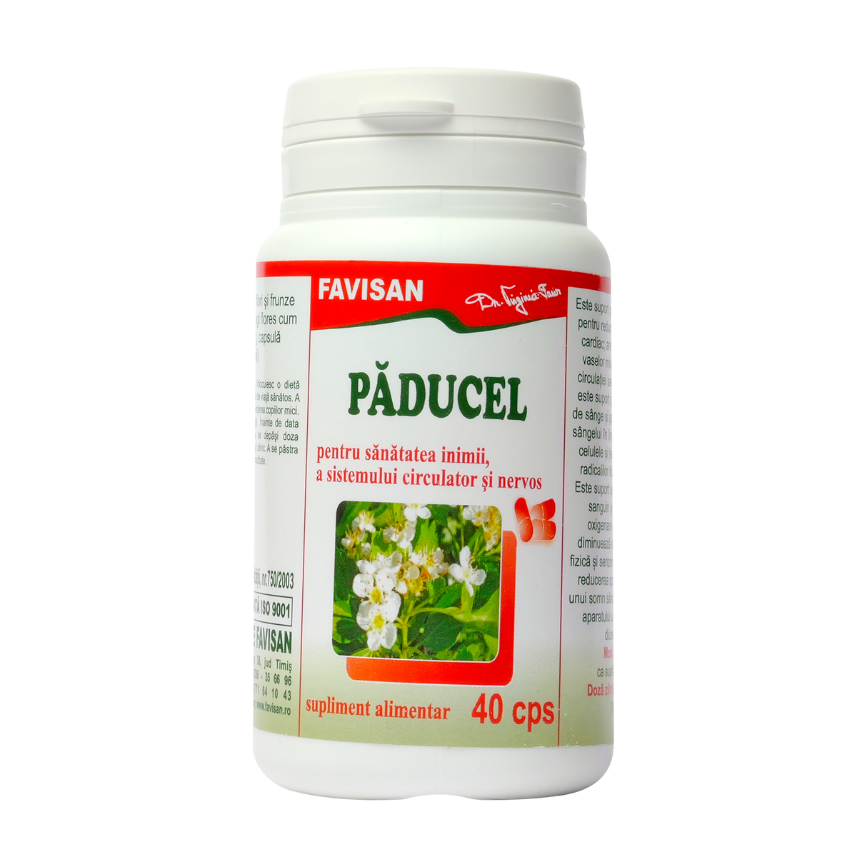 Paducel 40 capsule Favisan