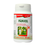 Paducel 40 capsule Favisan