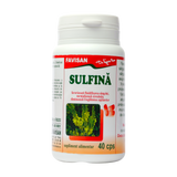 Sulfina 40 capsule