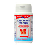 Favimin ca, mg, zn si fosfor 40 capsule