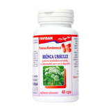 Branca ursului 40 capsule