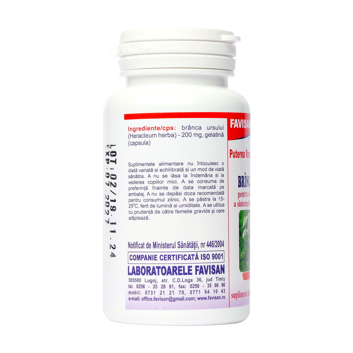 Branca ursului 40 capsule