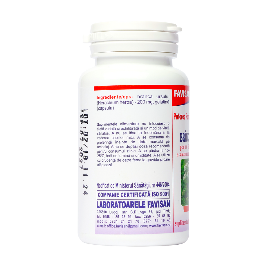 Branca ursului 40 capsule