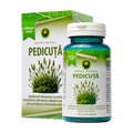 Pedicuta 60 capsule
