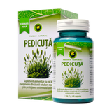 Pedicuta 60 capsule