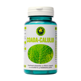 Coada calului 60 capsule