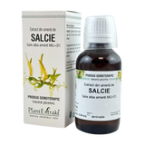 Extract din amenti de Salcie 50 ml