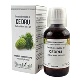 Extract din mladite de Cedru 50 ml