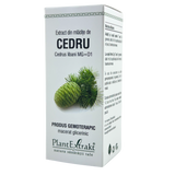 Extract din mladite de Cedru 50 ml