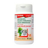 Cretisoara, traista ciobanului, coada soricelului 40cps Favisan 40 capsule