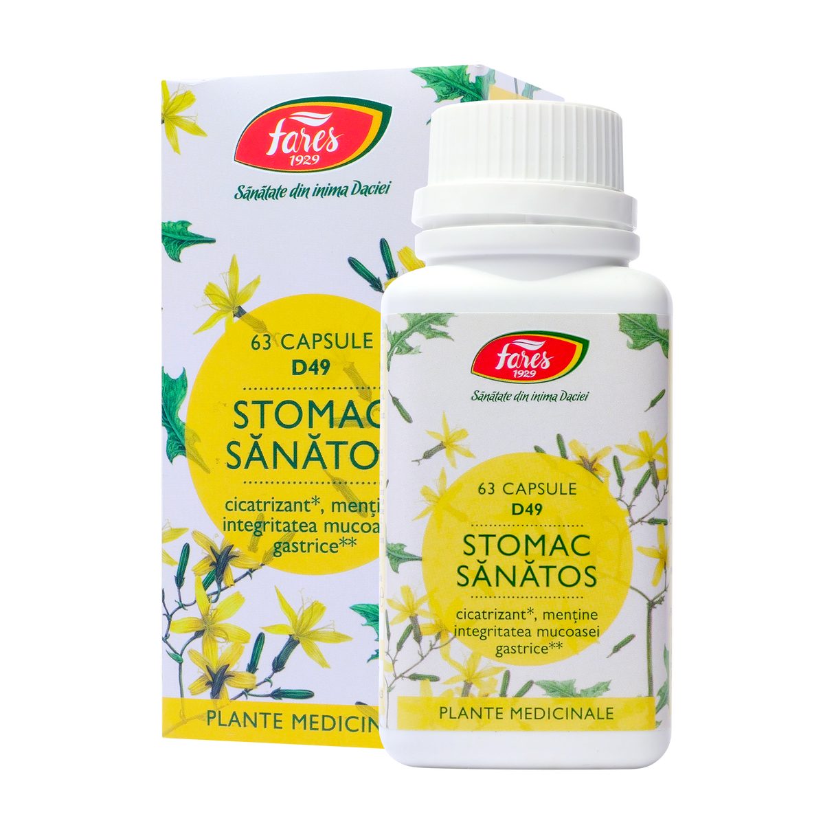 Stomac sanatos ulcerofit 63 capsule