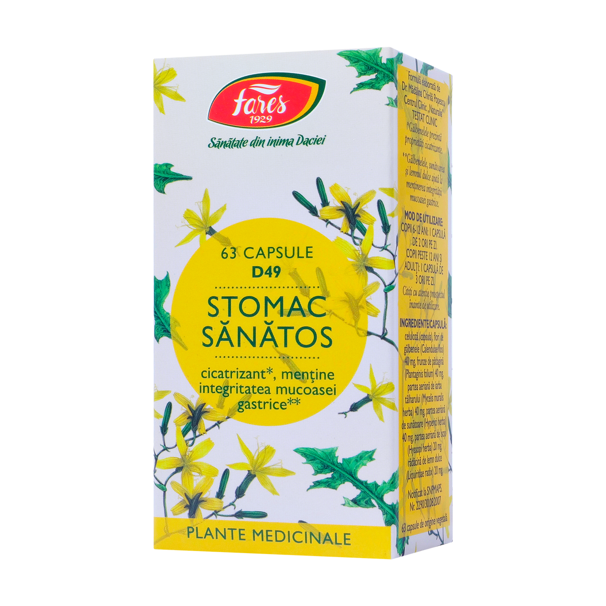 Stomac sanatos ulcerofit 63 capsule