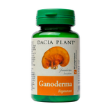 Ganoderma 60 comprimate