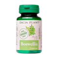 Boswellia 60cpr Dacia Plant 60 comprimate