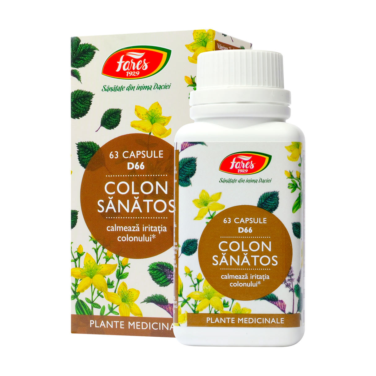 Colon sanatos 63 capsule