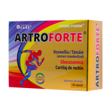 Artroforte 30 capsule