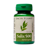 Salix 500 60 comprimate