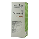 Polygemma 1 - Stomac 50 ml