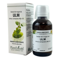 Extract din muguri de Ulm 50 ml