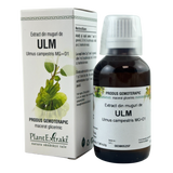 Extract din muguri de Ulm 50 ml
