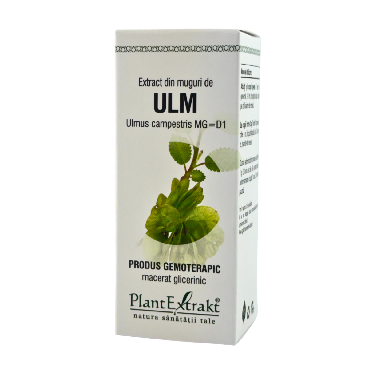 Extract din muguri de Ulm 50 ml