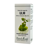Extract din muguri de Ulm 50 ml