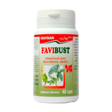 Favibust 40 capsule