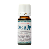 Ulei esential eucalipt 10 ml Santo Raphael