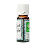 Ulei esential eucalipt 10 ml Santo Raphael
