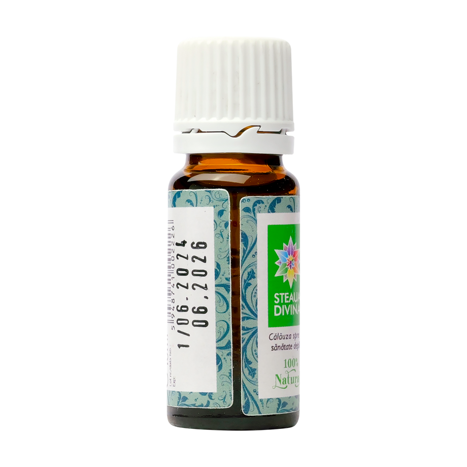 Ulei esential eucalipt 10 ml Santo Raphael