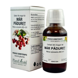 Extract din muguri de Mar paduret 50 ml