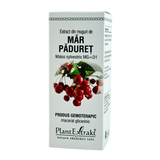 Extract din muguri de Mar paduret 50 ml