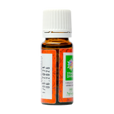 Ulei esential camfor 10 ml