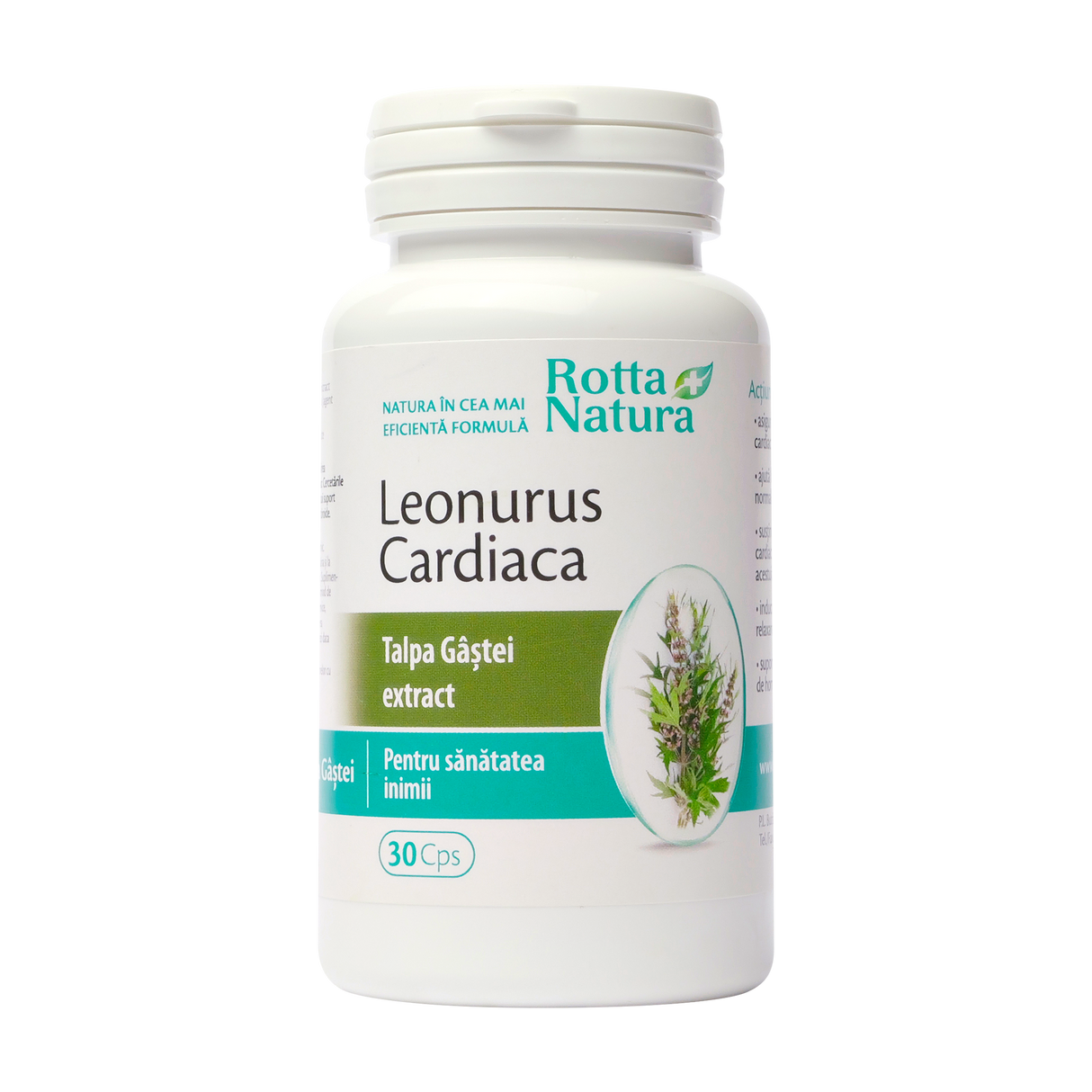 Leonurus cardiaca - talpa gastei extract 30 capsule