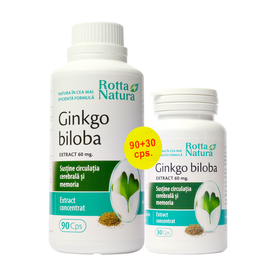 Pachet ginkgo biloba extr.60mg 120 capsule