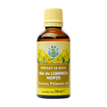 Ulei luminita noptii 50 ml