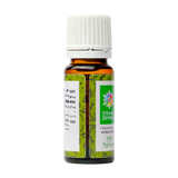 Ulei esential rozmarin 10 ml Santo Raphael