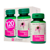 Echinaceea forte 120 comprimate