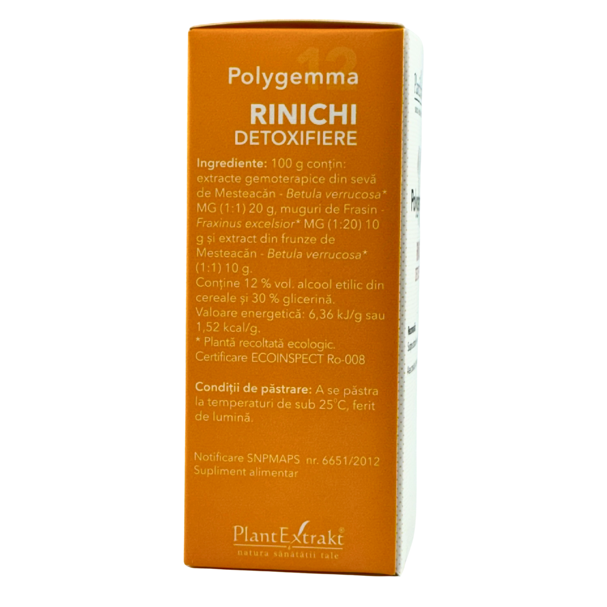 Polygemma 12 - Rinichi-Detoxifiere 50 ml