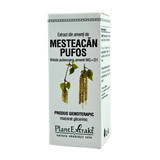 Extract din amenti de Mesteacan pufos 50 ml