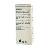 Extract din amenti de Mesteacan pufos 50 ml