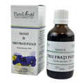 Tinctura de Trei frati patati 50 ml