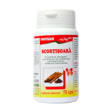 Scortisoara 70 capsule