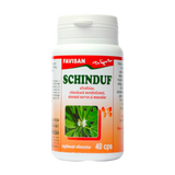 Schinduf 40 capsule