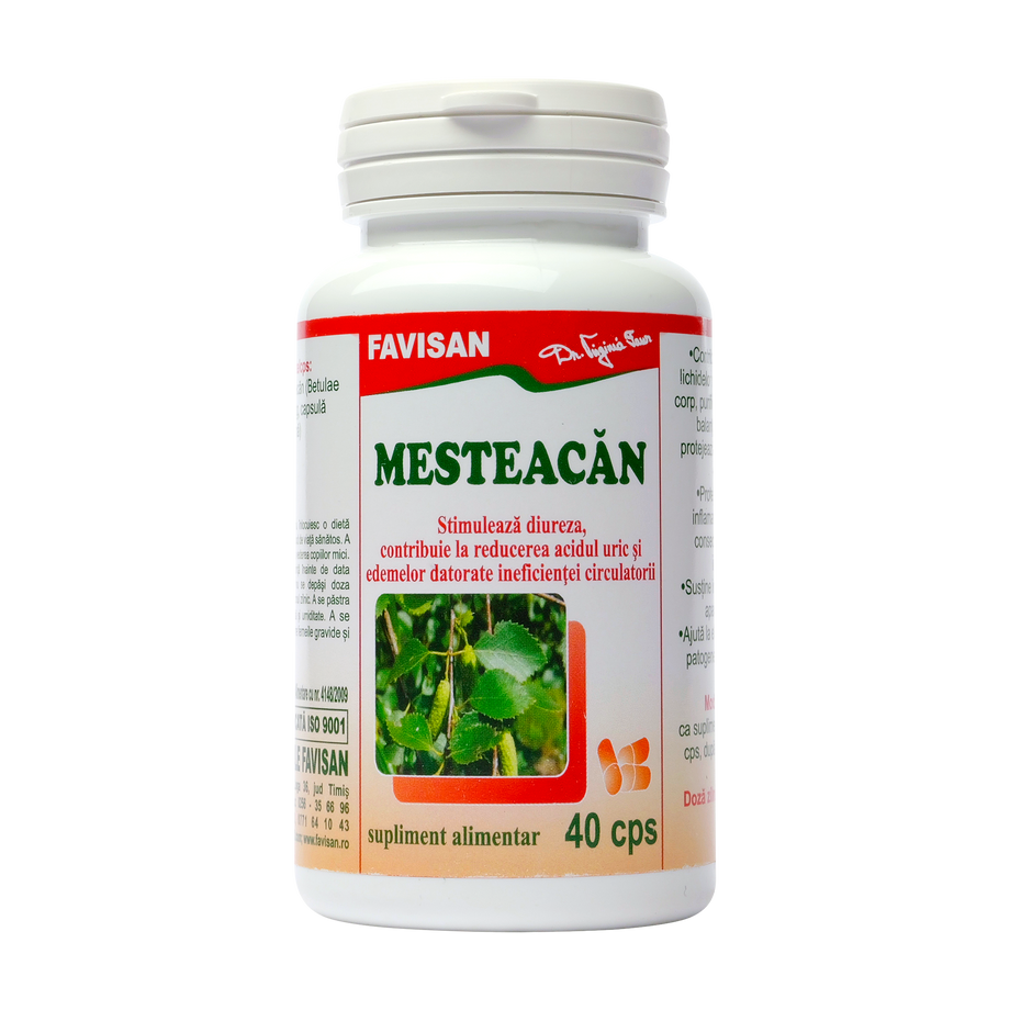 Mesteacan 40cps Favisan 40 capsule
